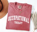 Retro Occupational Therapy Shirt, OT Shirt, Special Education Shirt, Cute Therapist Gift, Aesthetic Therapy Shirt, Sped Teacher Gift