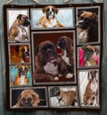 Cute Boxer Quilt Blanket - Awesome Design Gifts Idea for Boxer Dog Mother GTS000375