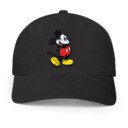Design Mickey