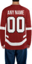 DETROIT RED WINGS – Vertical Block Neck Hockey Jersey - Custom Name