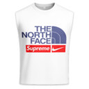 NIKE, SUPREME, The North Face - Men's Premium Tank - Regular Fit