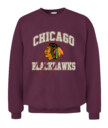 CHICAGO BLACKHAWKS – Claw Mark Vintage