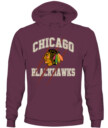 CHICAGO BLACKHAWKS – Claw Mark Vintage