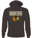 CHICAGO BLACKHAWKS – Hawks Win!