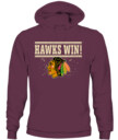 CHICAGO BLACKHAWKS – Hawks Win!