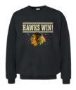 CHICAGO BLACKHAWKS – Hawks Win!
