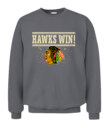 CHICAGO BLACKHAWKS – Hawks Win!