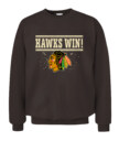 CHICAGO BLACKHAWKS – Hawks Win!