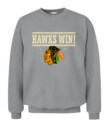 CHICAGO BLACKHAWKS – Hawks Win!