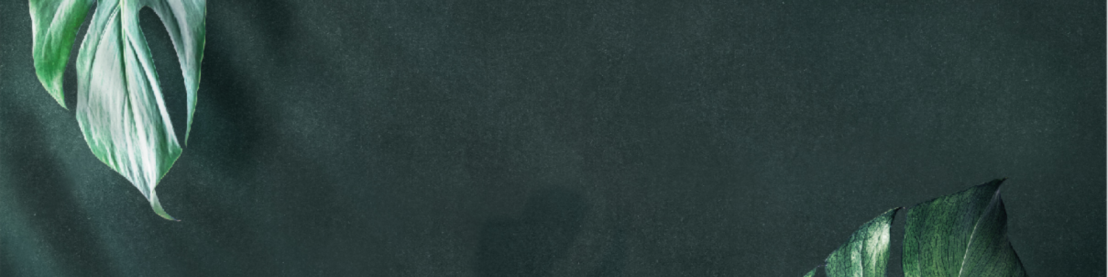 banner-image