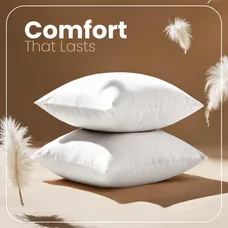 Set of 2 Soft, Supportive, and Comfortable Pillow Inserts.