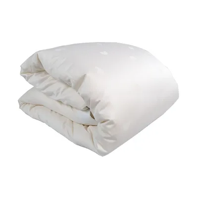 Duvet Insert.