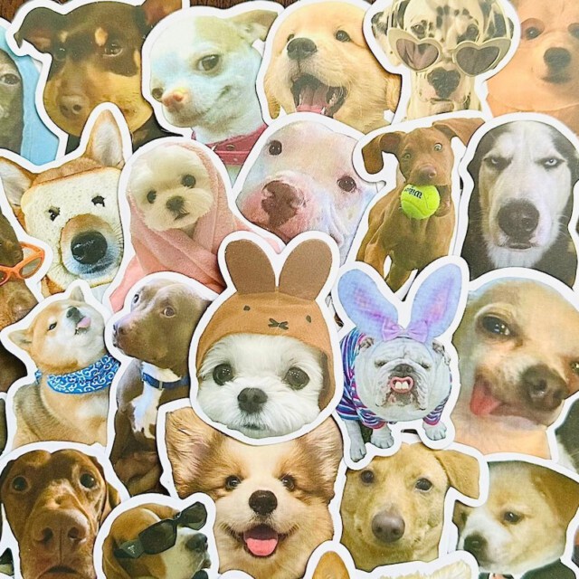 50 pcs Cute Dog Stickers (2) Kawaii Funny Gift Waterproof Sticker Pack Decals For Motorcycle, Laptop (03)
