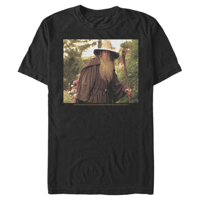 Men's The Lord of the Rings Fellowship of the Ring Travelling Gandalf  Adult T-Shirt