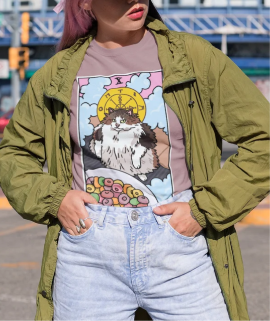 WHEEL OF FORTUNE TAROT CAT LOOPS BROTHER CEREAL CAT MEME