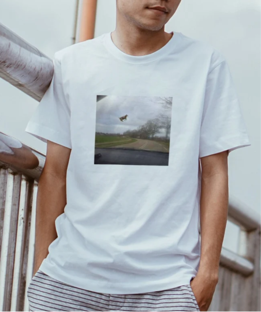 MYSTERIOUS FLYING COW SHIRT