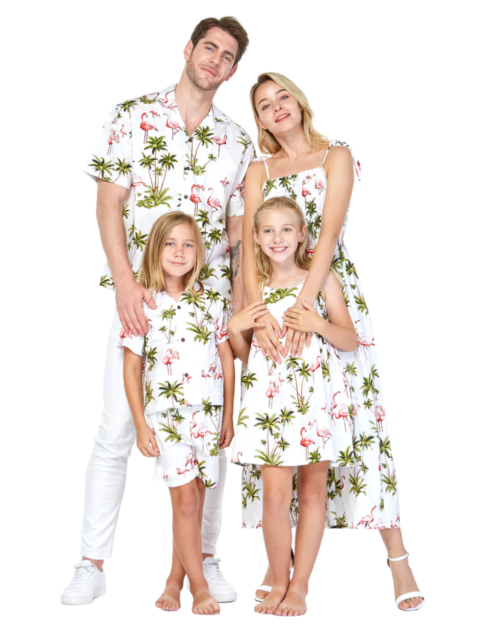 Family Set in Lost in Paradise