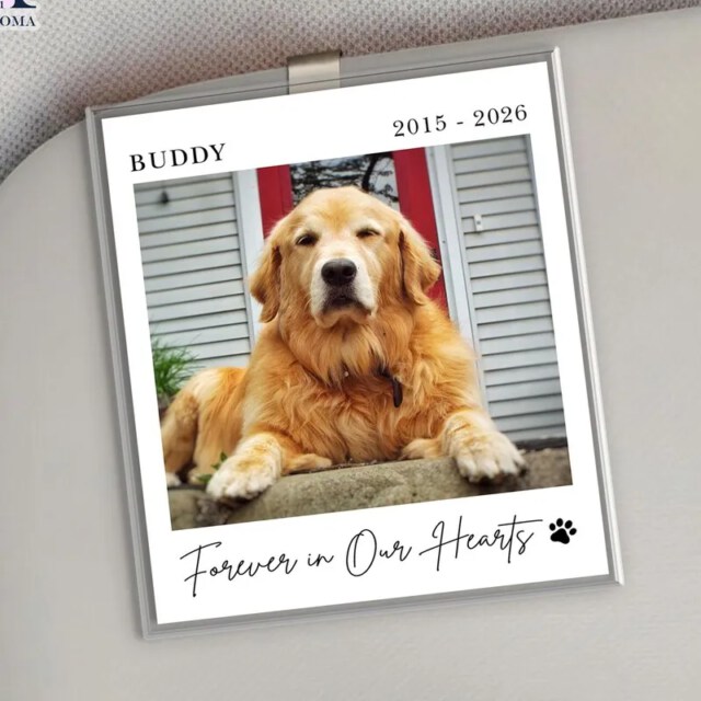 Personalized Pet Memorial Visor Clip Custom Photo Car Accessories Keepsake Dog Cat Remembrance Gift Loss Sympathy