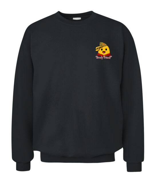 Salute & Punk sweatshirt