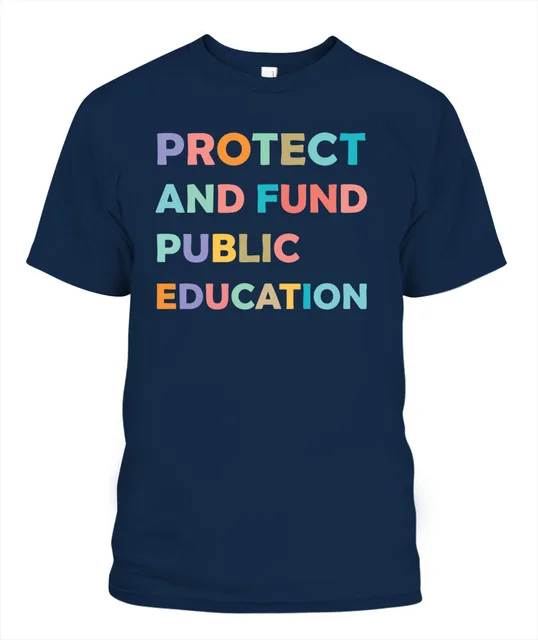 Protect And Fund Public Education Shirt, Public School Teacher Tee, Teacher Advocate Shirt, Comfort Colors Teacher Gift, Education Activist Tee