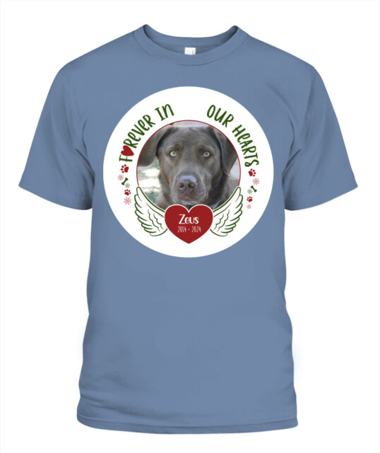 Custom Pet Memorial T-Shirt - Personalized Tribute Shirt for Pet Lovers