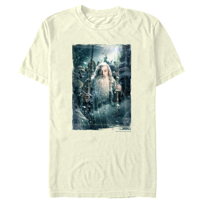 Men's The Hobbit: The Battle of the Five Armies Gandalf Poster Adult T-Shirt