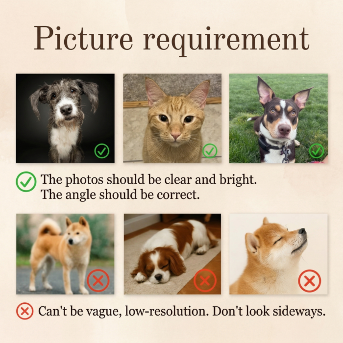 https://d1ud88wu9m1k4s.cloudfront.net/product_media/2026/03/21/A2104_4in8LWEBhP2tA82evwmQ8WcQg_1774083862208.png