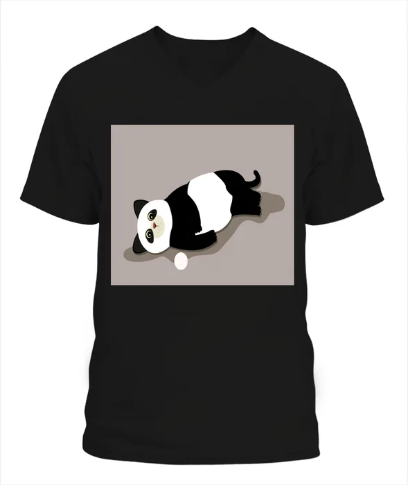 https://d1ud88wu9m1k4s.cloudfront.net/products/A27075/2nkf5nivj84dkqhksmgfeiols5/df7teusdgu42nq6fititsbud3-USBC3005-black-front.jpg?v=1682608098145