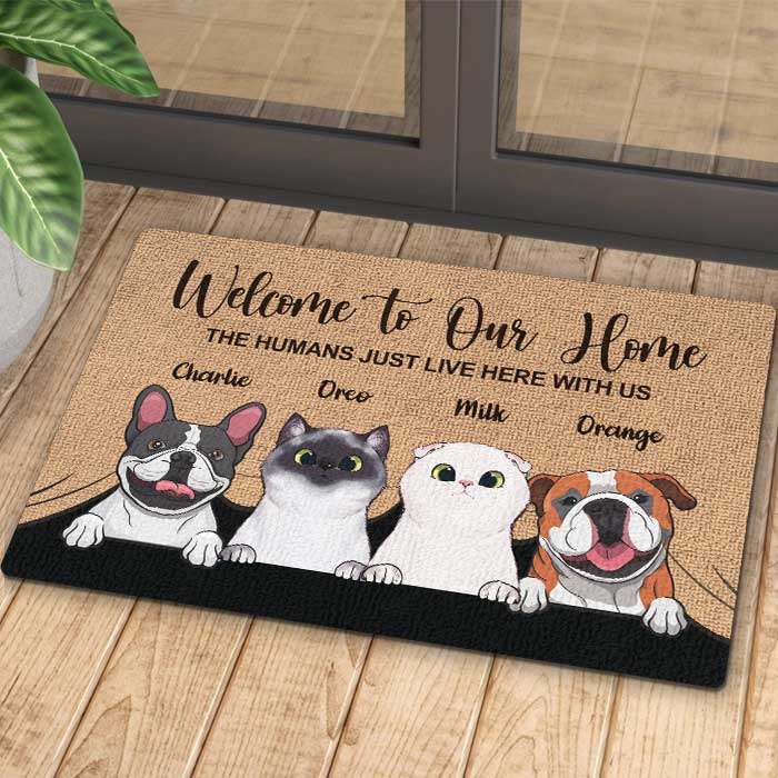 Home Rugs