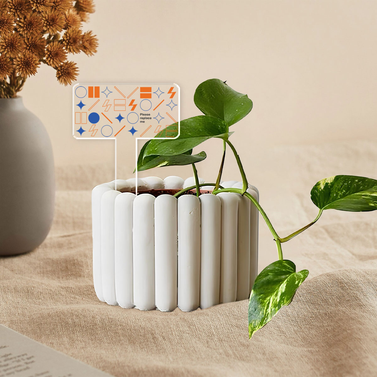 Acrylic Plant Marker - Custom Shape - 2 Sides (US)