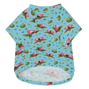 Mockup