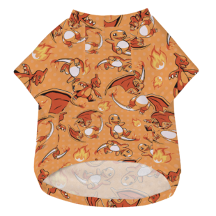 Mockup
