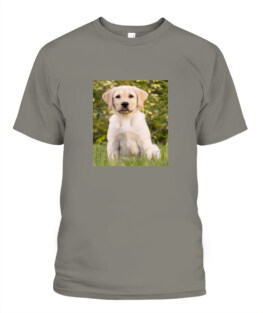 PopularTee
