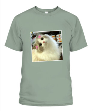 Mockup