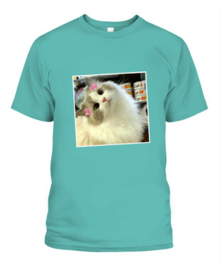 Mockup