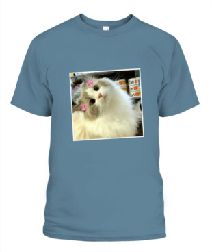 Mockup