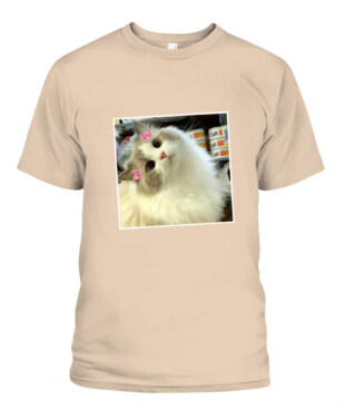 Mockup