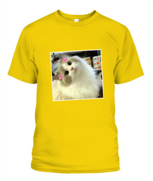Mockup