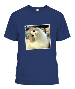 Mockup