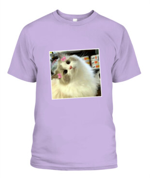 Mockup