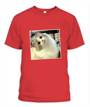 Mockup