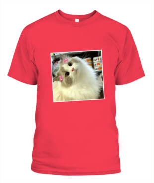 Mockup