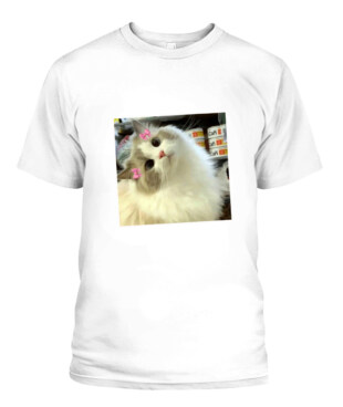 Mockup