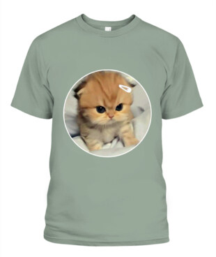 Mockup