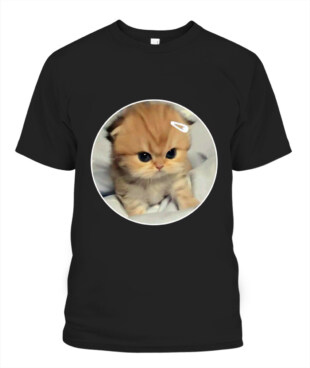 Mockup