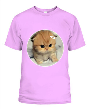 Mockup