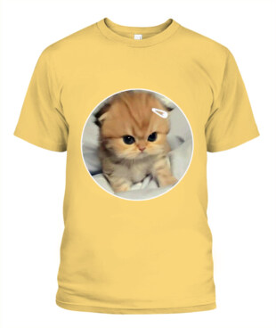 Mockup
