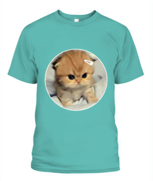 Mockup