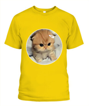 Mockup