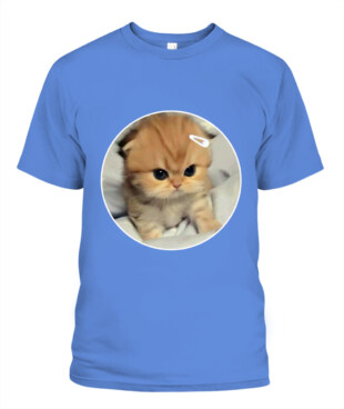 Mockup